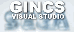 Логотип GINCS Visual Studio